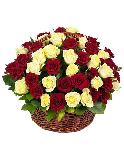 Rose rosse