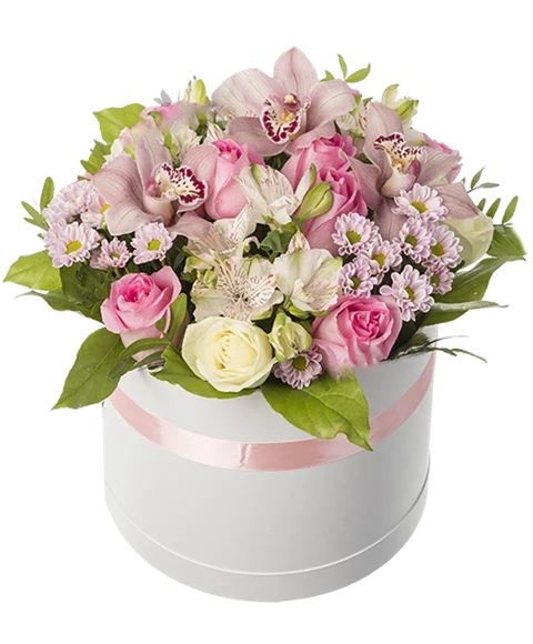 Rose e Orchidee