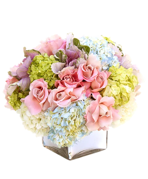 Creazione fiorita