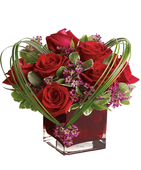 Cuore
