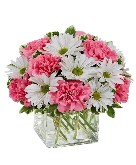Fiori rosa